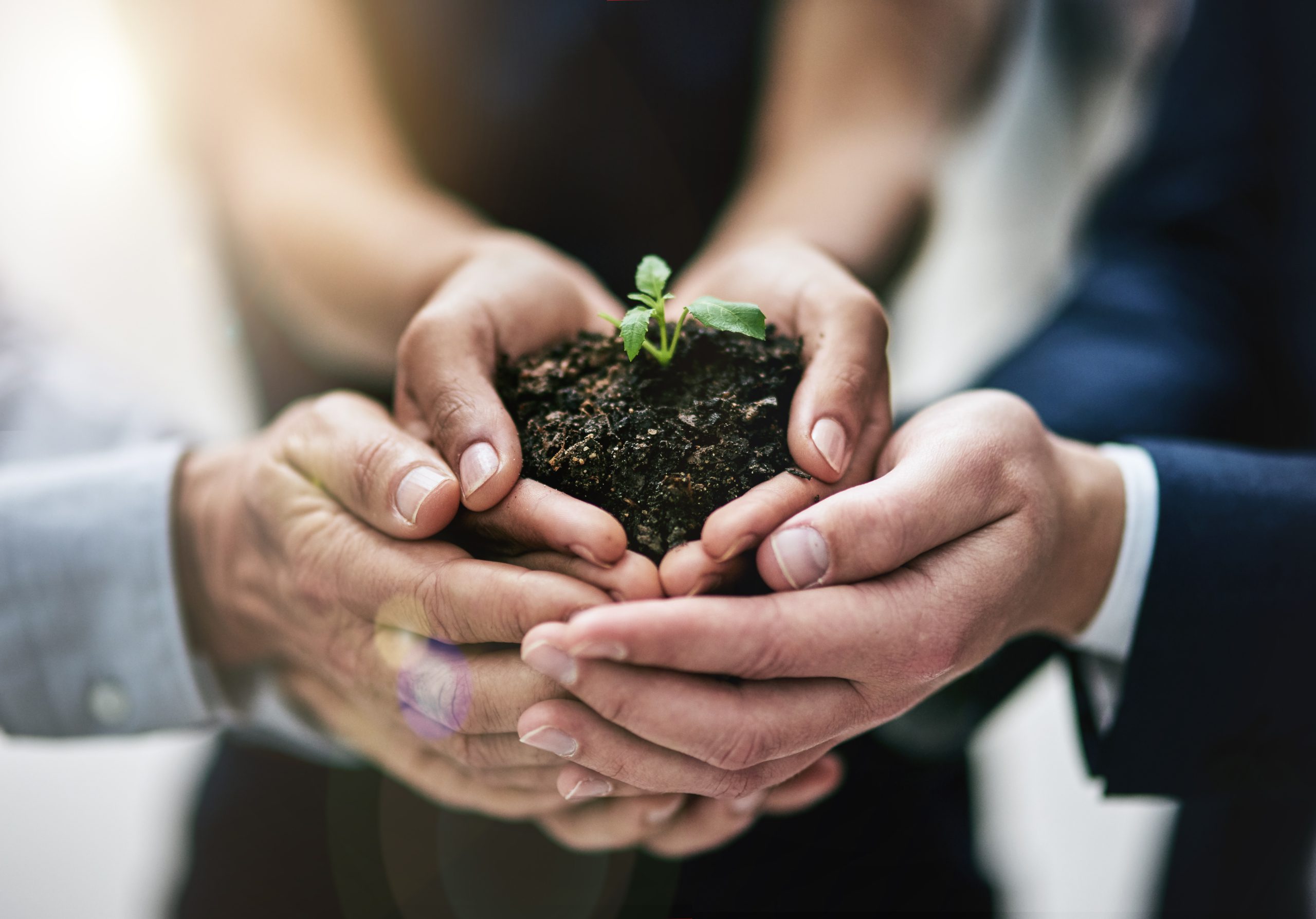 Unlocking-Sustainable-Success-in-Procurement-scaled (1) Libera il potenziale del procurement sostenibile