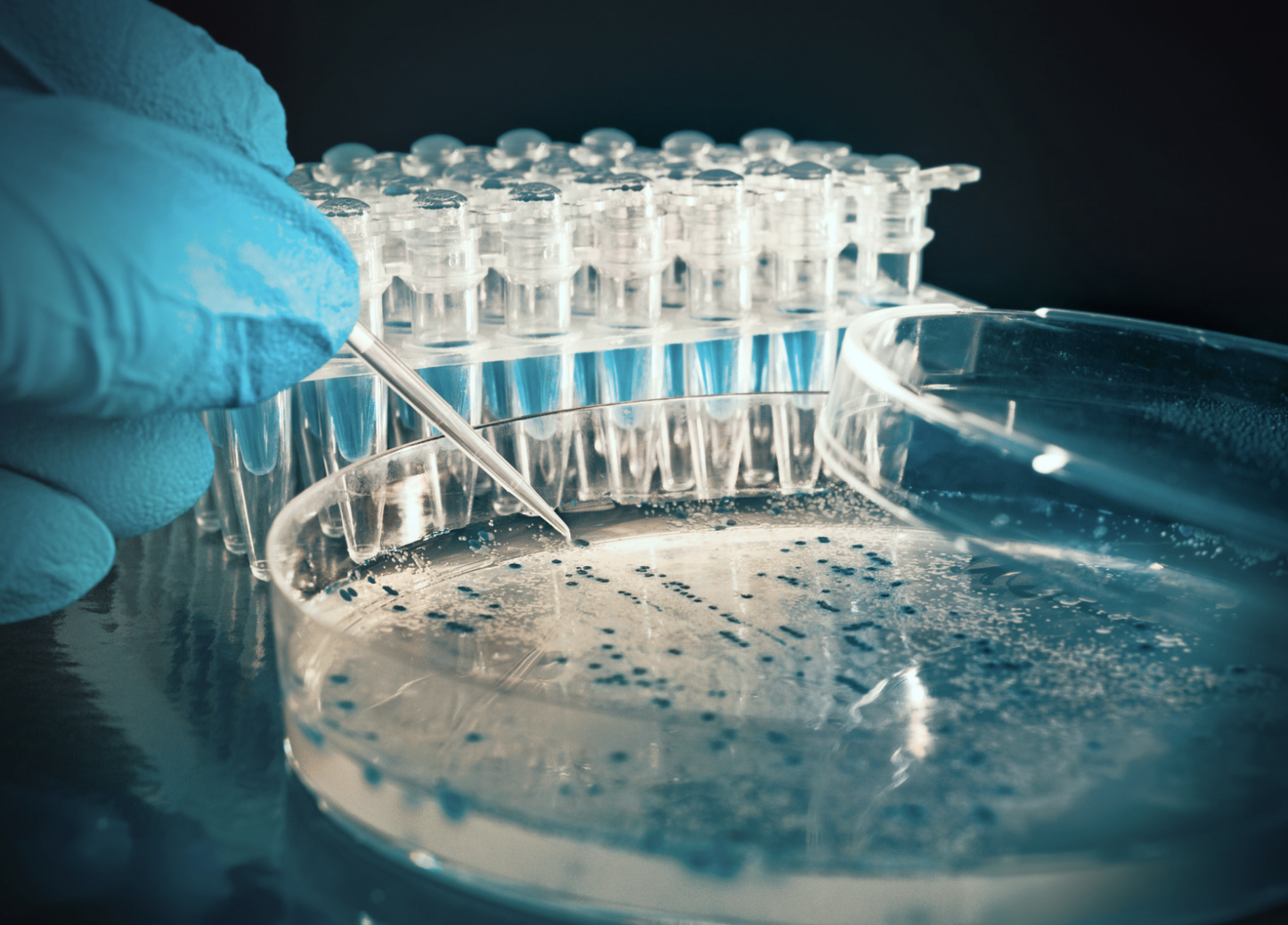 High-Tech Company Merck Manages Suppliers with JAGGAER SRM Platform