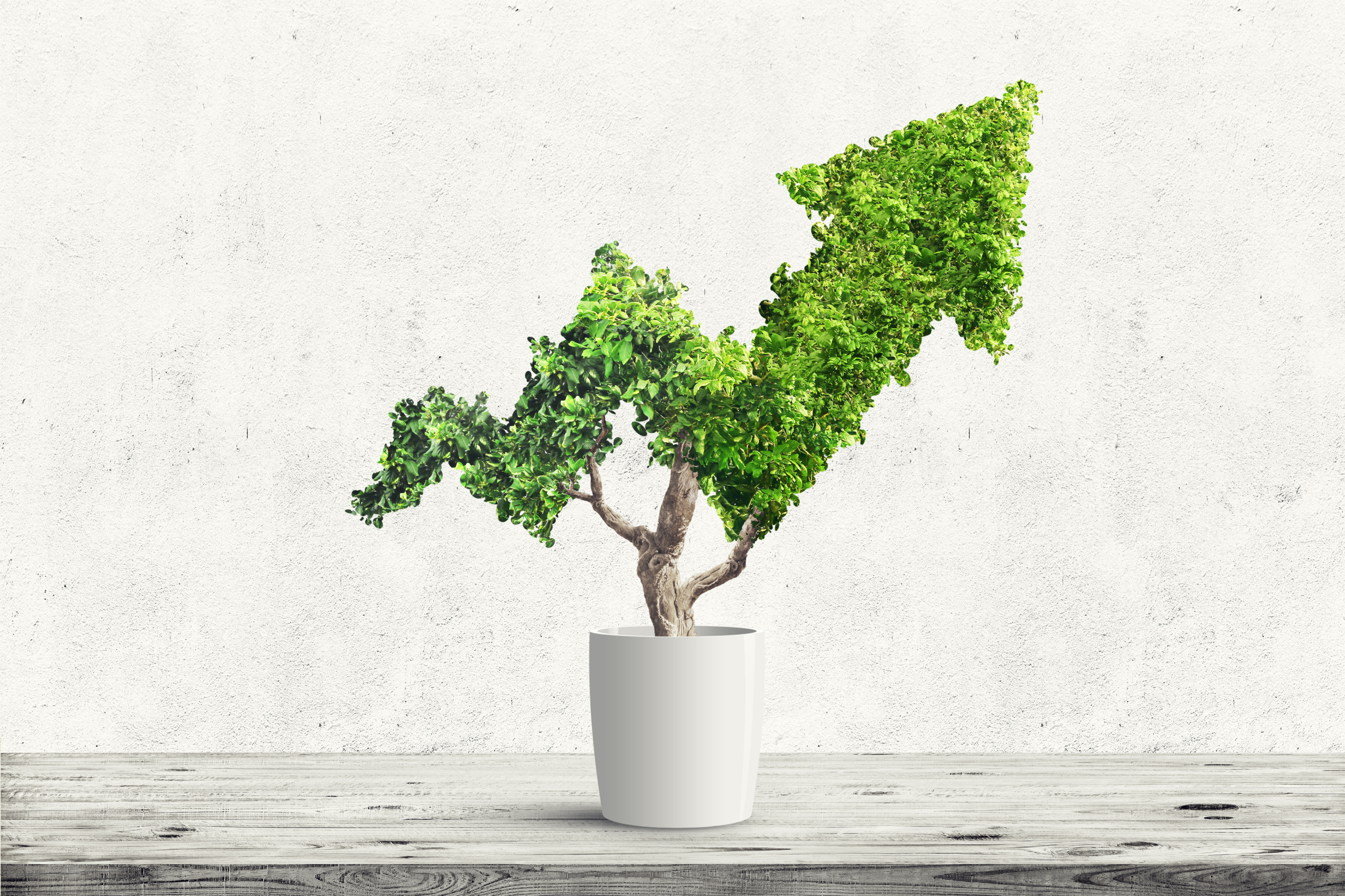 Contract Management — Making the Business Case for Investment