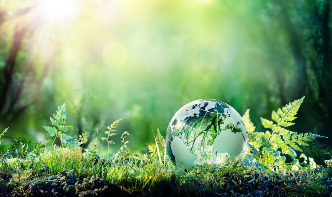 Upgrading Sustainable Procurement in the New Era of Risk