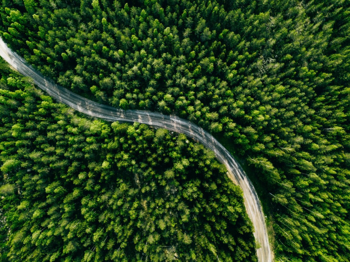 ESG_Road Impulse el éxito de su empresa con una función de compras sostenible